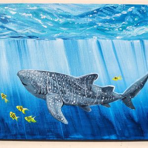 (THU-JAN.15) Whale Shark