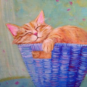 SAT-Feb.21) Sleeping Cat