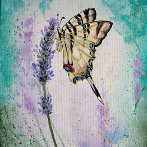 THU-Feb.26) Swallowtail
